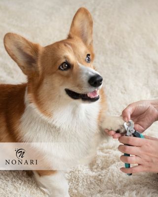 Dopřejte svým mazlíčkům péči, jakou si zaslouží! ✂️🐾 Naše sada kleštiček a pilníku zajistí snadno a bezpečnou péči o...